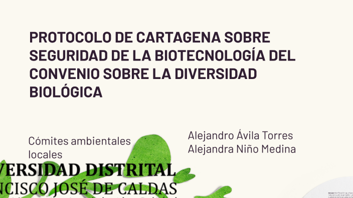 PROTOCOLO DE CARTAGENA SOBRE SEGURIDAD DE LA BIOTECNOLOGÍA DEL CONVENIO ...