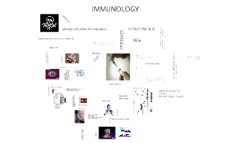 immunology ppt presentation templates free