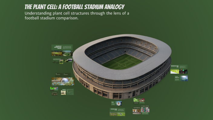 The Plant Cell: A Football Stadium Analogy by James Barr III on Prezi