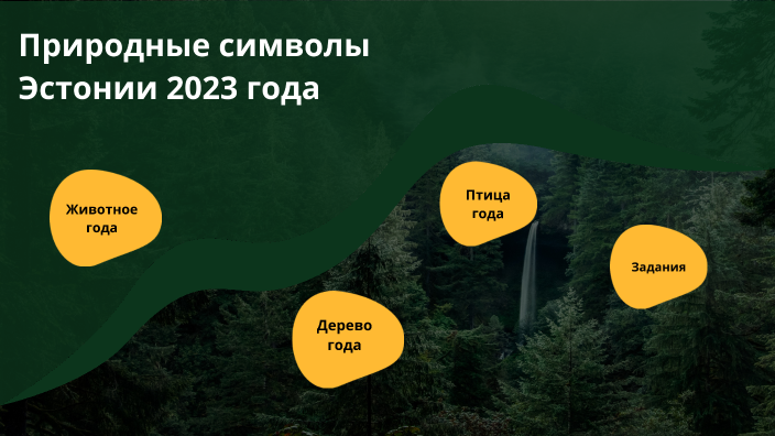 закон о шуме в эстонии 2023