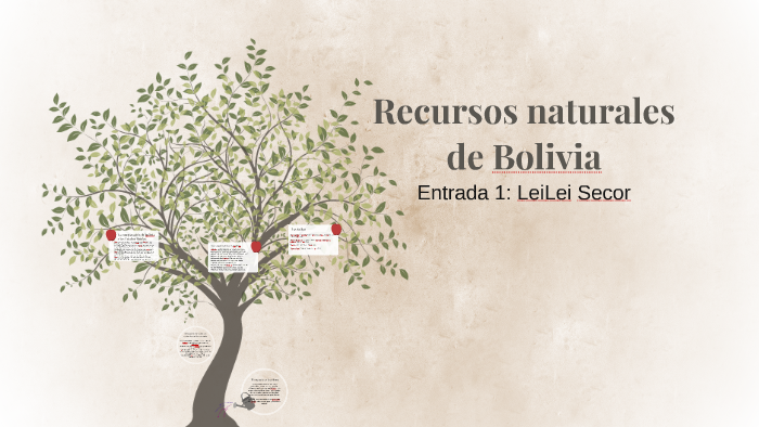 Recursos Naturales De Bolivia By Leilei S On Prezi