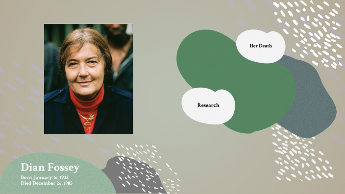 Dian Fossey By On Prezi Next