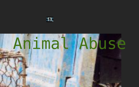 Animal Abuse Persuasive Essay by Isabella Manzo