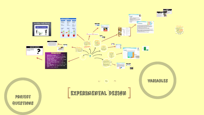 The Experimental Design Process By Anne DeRousse On Prezi Next