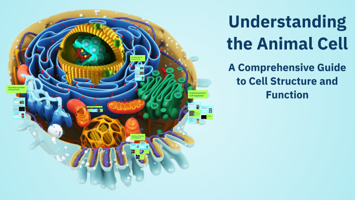 Understanding the Animal Cell by Iwo Nowierski on Prezi