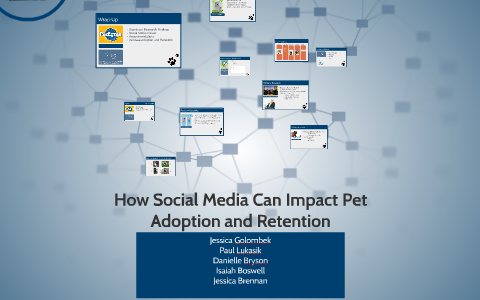 How Social Media Can Impact Pet Adoption and Retention by Paul Lukasik ...