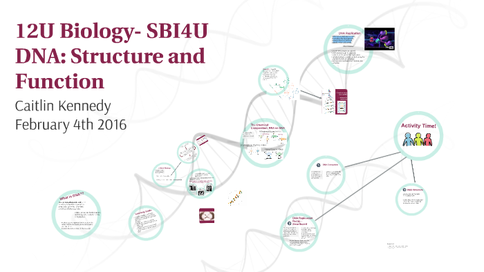 DNA: Structure and Function by Caitlin Kennedy on Prezi