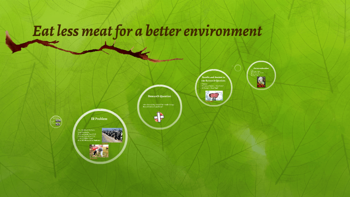 Should We Be Eating Less Meat To Save The Environment? – PCWH