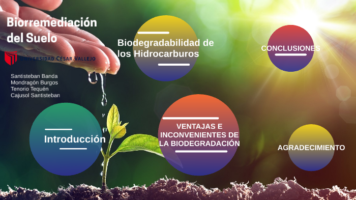 Biorremediación Del Suelo By Jefferso Mondragón Burgos On Prezi