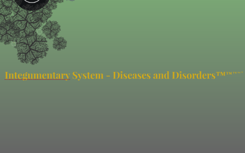 The Integumentary System - Diseases and Disorders by Max Bradshaw