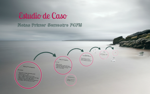 Estudio de Caso by Gianfranco Henríquez on Prezi