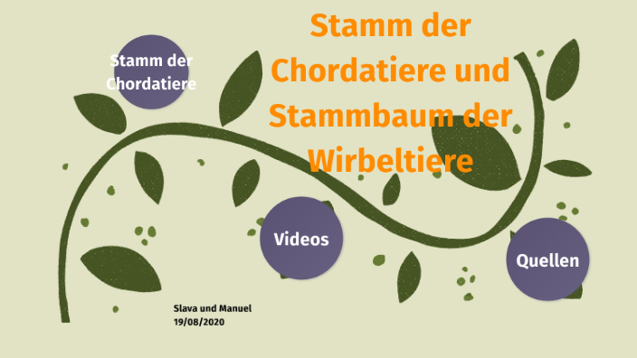 Stamm Der Chordatiere Und Stammbaum Der Wirbeltiere By Manuel Sigg On Prezi stamm-der-chordatiere-und-stammbaum-der-wirbeltiere-by-manuel-sigg-on-prezi