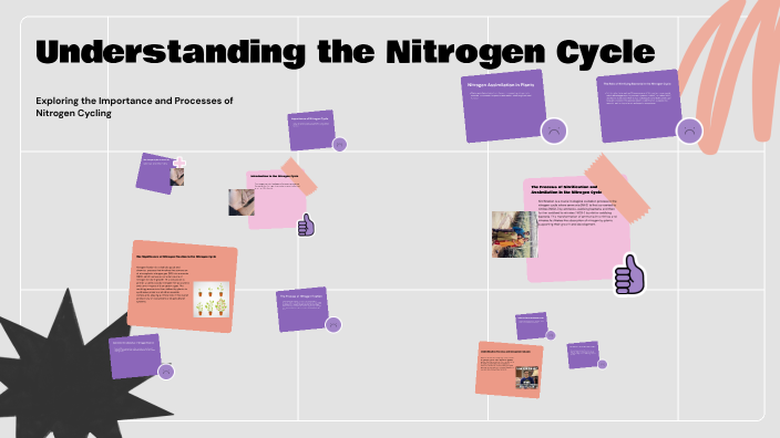 Understanding the Nitrogen Cycle by Jean D on Prezi