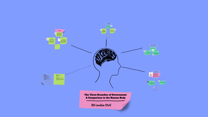 The Three Branches of Government: A Comparison to the Human Body by ...