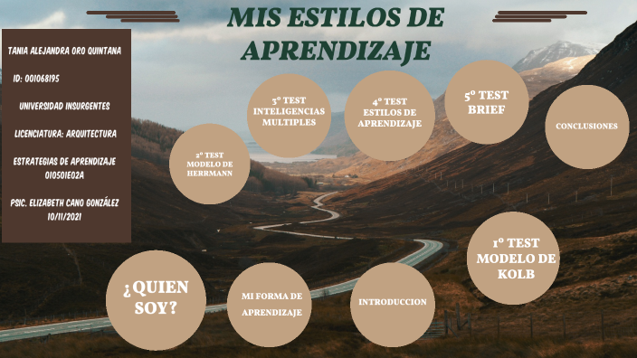 Mis Estilos de Aprendizaje by ALEJANDRA QUINTANA on Prezi