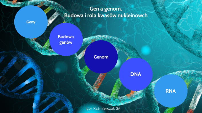 Gen a genom. Budowa i rola kwasów nukleinowych by Igor K on Prezi