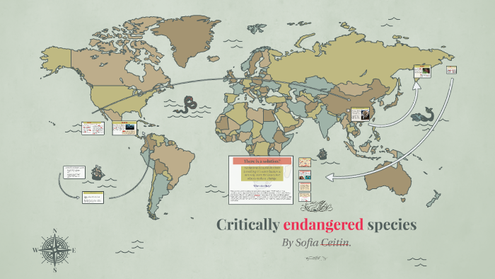 Endangered species by on Prezi