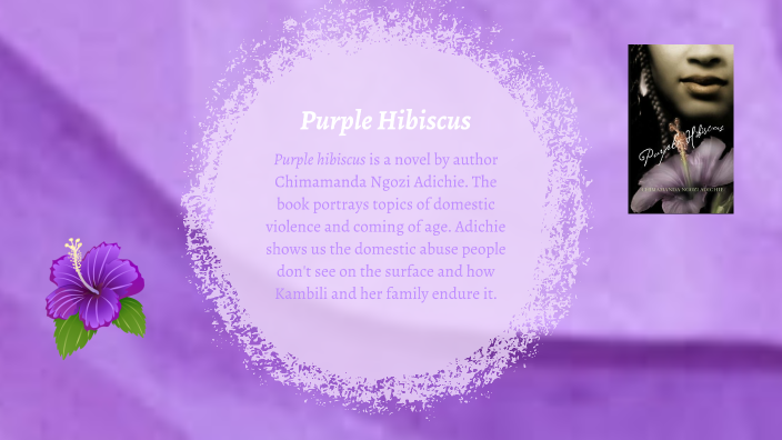 domestic-violence-in-purple-hibiscus-by-chana-schnitzer