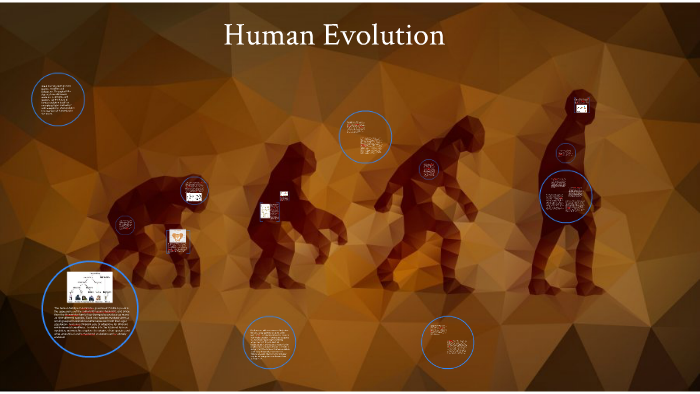 Human Evolution by Manasi Guduri on Prezi