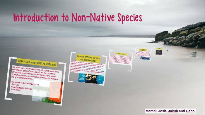 introduction-to-non-native-species-by-marcel-wrzecionek