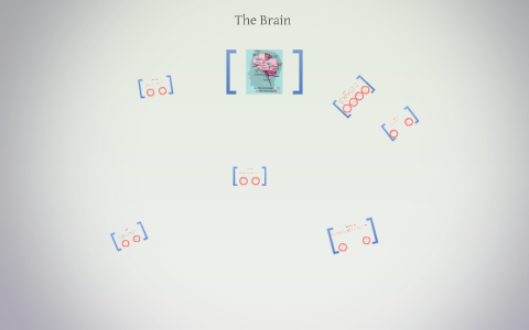 The Brain by on Prezi