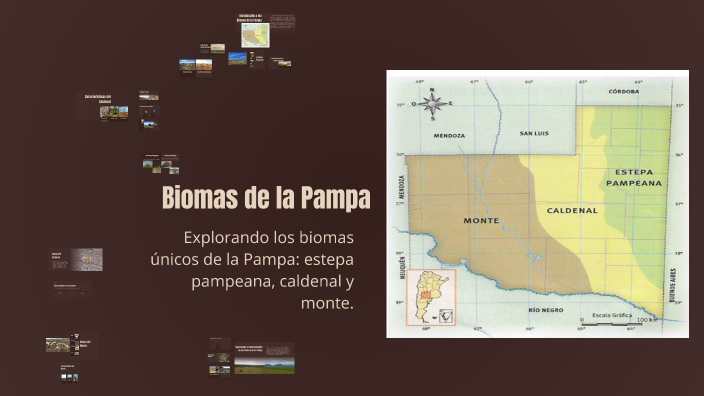 Biomas de la Pampa by Maria Eugenia Puyssegur on Prezi