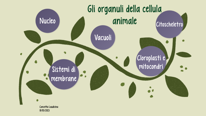 La cellula animale by concetta laudicina on Prezi