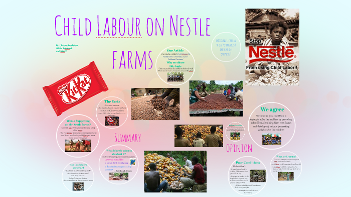 Child labour on Nestlé farms: chocolate giant's problems continue, Working  in development