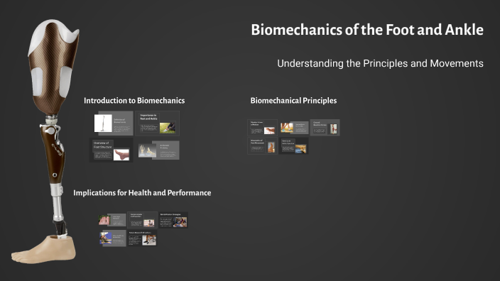 Biomechanics of the Foot and Ankle by Natalie Magda on Prezi