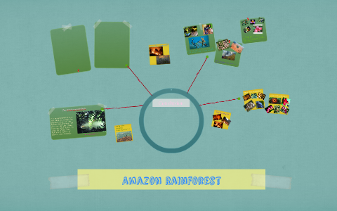 The Amazon Rainforest by Janki Amin on Prezi