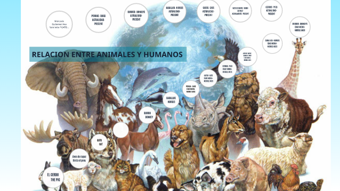 RELACION ENTRE ANIMALES Y HUMANOS by Esthefany abigail Reyes Valencia ...