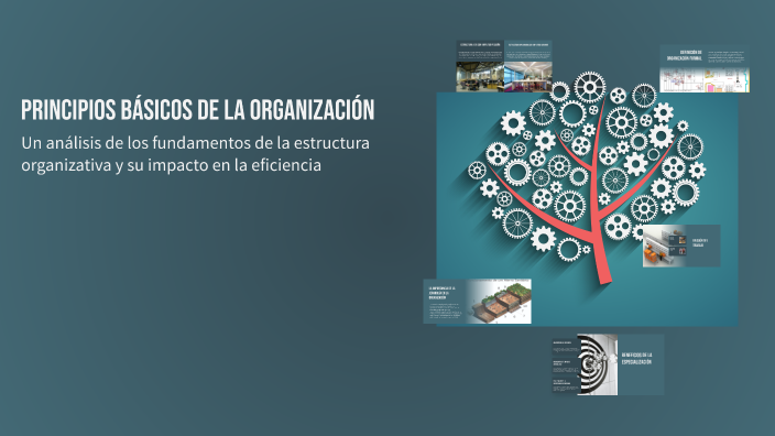 Principios Básicos de la Organización by miguel angel arango gomez on Prezi