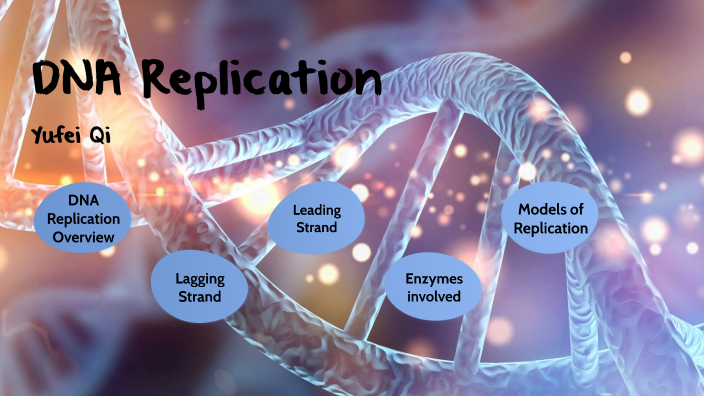 DNA Replication by Yufei Qi on Prezi
