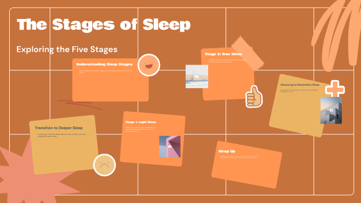 The Stages of Sleep by Aliyah Alonso on Prezi