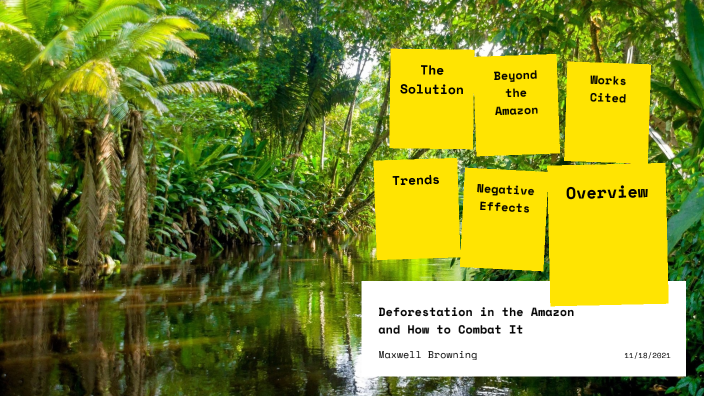 Deforestation by Maxwell Browning on Prezi