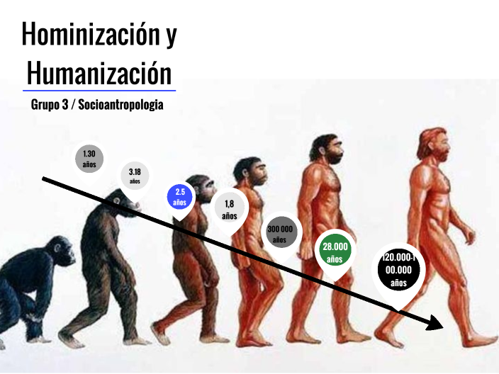 Hominización y Humanización by Gabriela Macias Angarita on Prezi Next