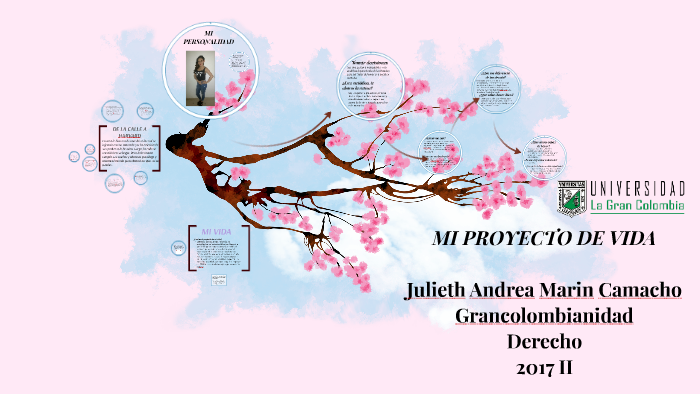 MI PROYECTO DE VIDA by Andrea Marin on Prezi
