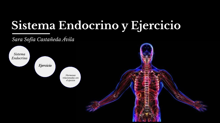 SISTEMA ENDOCRINO Y EJERCICIO by Sara Sofia Castañeda Avila on Prezi