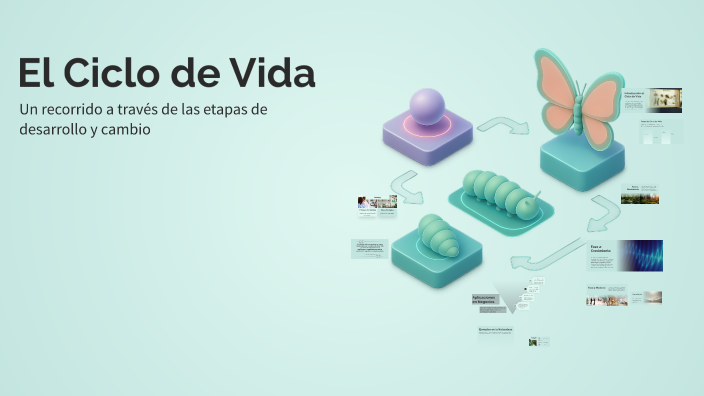 El Ciclo de Vida by sofia aldana on Prezi