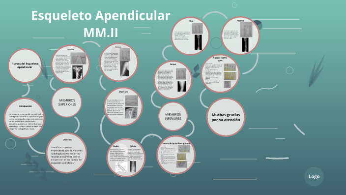 Huesos Mmii By Luis Sierra On Prezi Huesos Mmii By Luis Sierra On Prezi