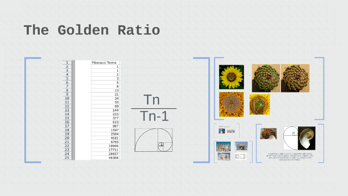 The Golden Ratio by Anna H on Prezi