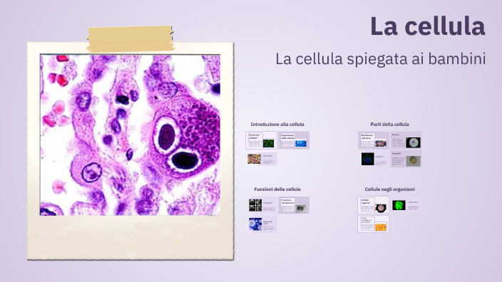 La cellula by Christian Nigrelli on Prezi