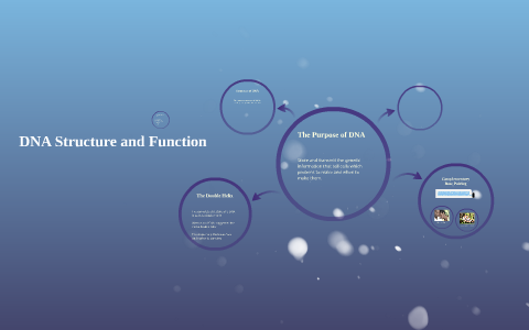 DNA Structure and Function by Chris Morgan on Prezi