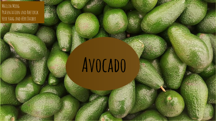 avocado by Mailin Moog on Prezi