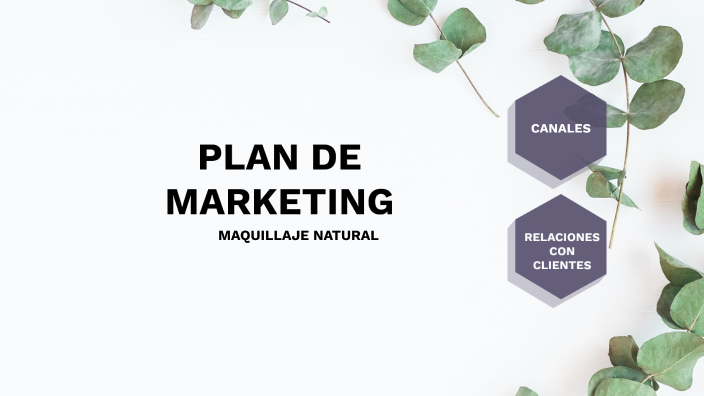 PLAN DE MARKETING by amanda on Prezi