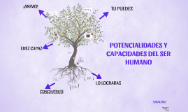 Potencialidades