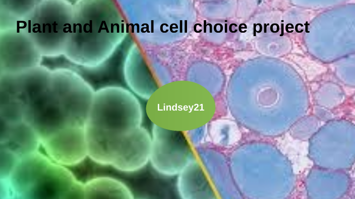 Plant and Animal cell choice project by Lindsey Undlin on Prezi