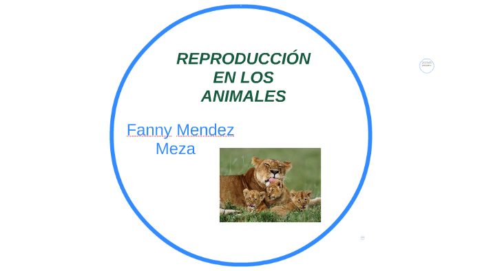 REPRODUCCIÓN EN LOS ANIMALES by fanny Mendez