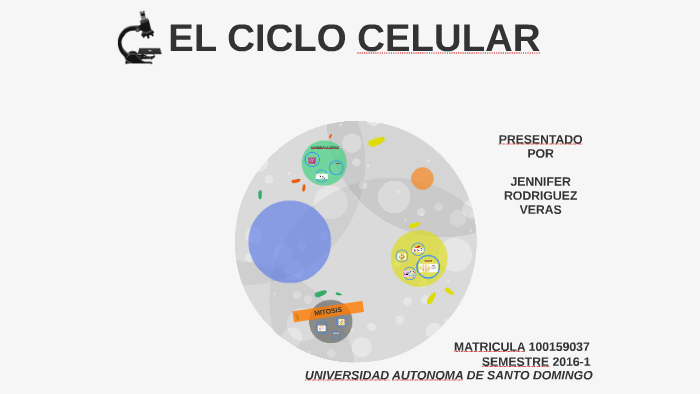 EL CICLO CELULAR by Jennifer Rodriguez Veras on Prezi