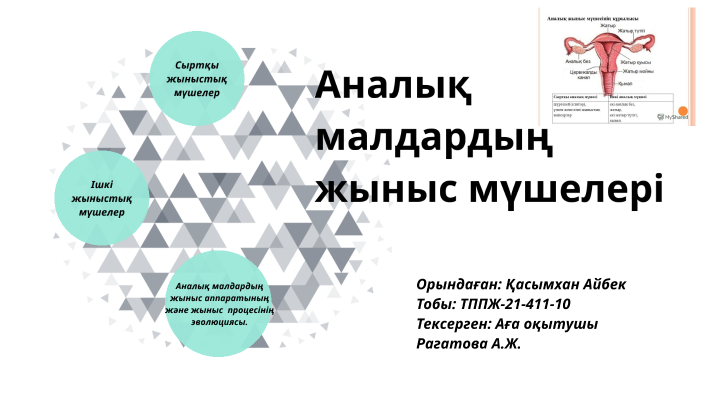 Анилингус лесбиянкалық порно